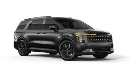 KIA Carnival IV Рест